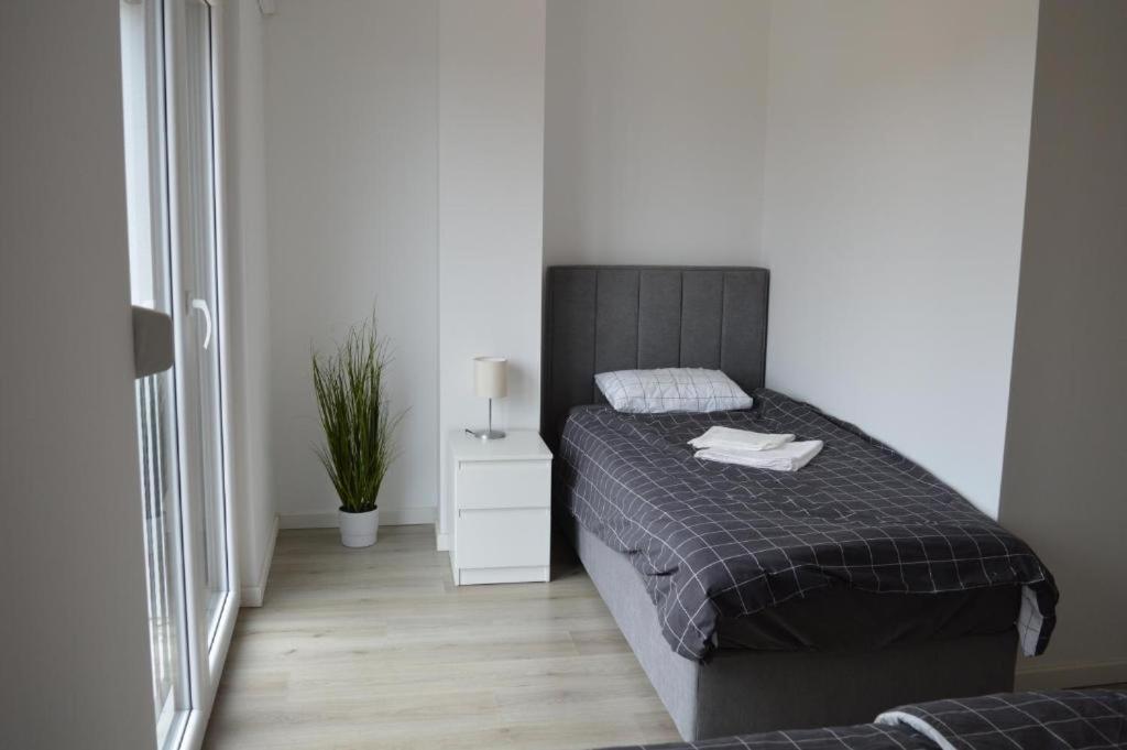Apartma Korte Apartment *
